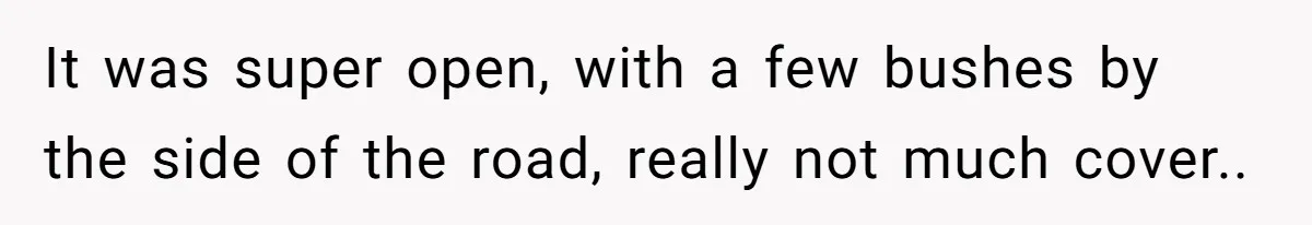 It was super open, with a few bushes by the side of the road, really not much cover..