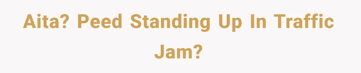 AITA? Peed standing up in traffic jam?