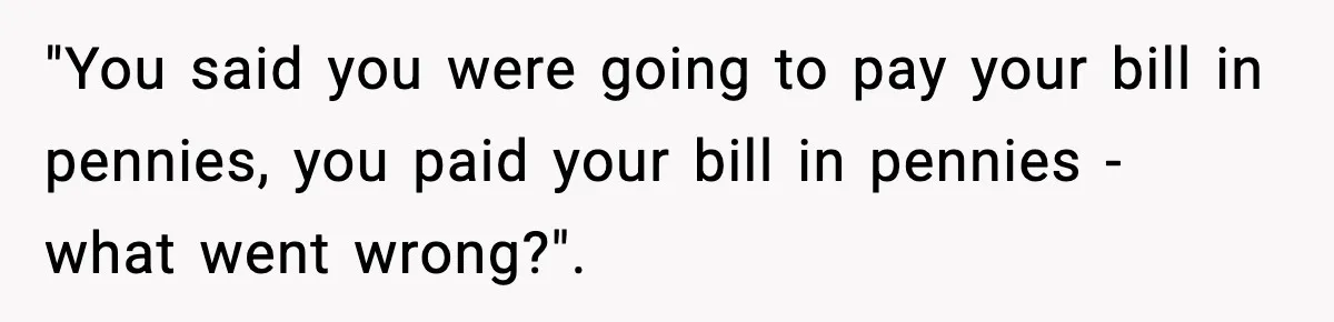 "You said you were going to pay your bill in pennies, you paid your bill in pennies - what went wrong?".