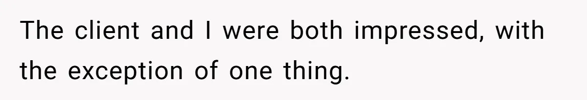 The client and I were both impressed, with the exception of one thing.