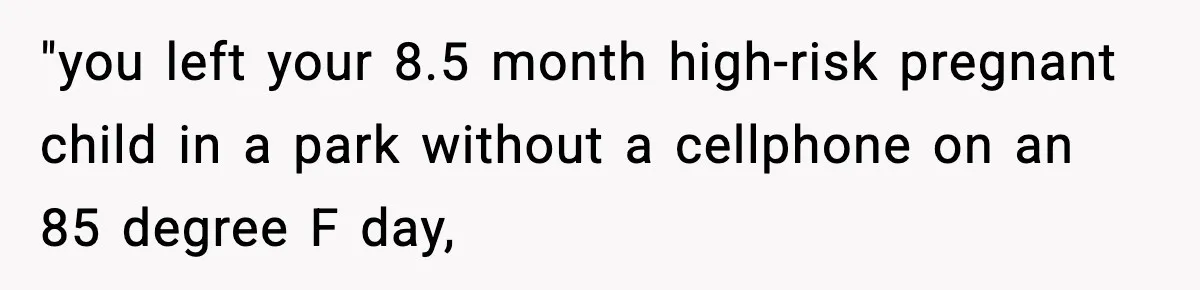 "you left your 8.5 month high-risk pregnant child in a park without a cellphone on an 85 degree F day,