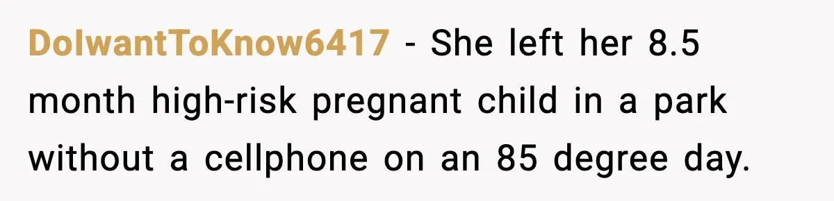 DoIwantToKnow6417 - She left her 8.5 month high-risk pregnant child in a park without a cellphone on an 85 degree day.