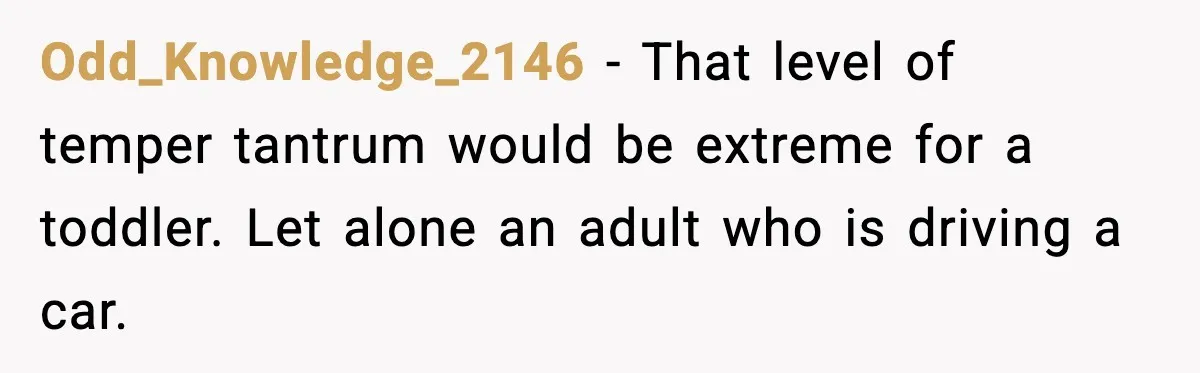 Odd_Knowledge_2146 - That level of temper tantrum would be extreme for a toddler. Let alone an adult who is driving a car.