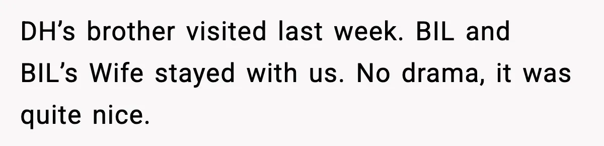 DH’s brother visited last week. BIL and BIL’s Wife stayed with us. No drama, it was quite nice.