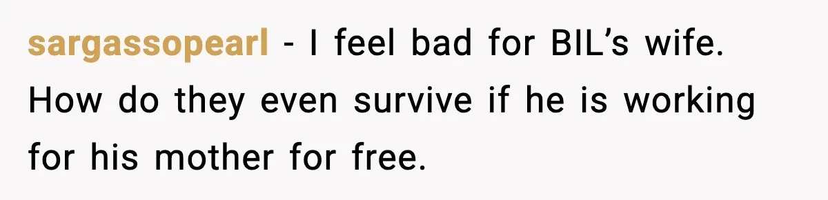 sargassopearl - I feel bad for BIL’s wife. How do they even survive if he is working for his mother for free.