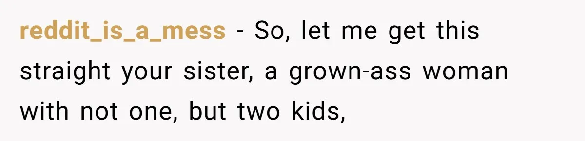 reddit_is_a_mess − So, let me get this straight your sister, a grown-ass woman with not one, but two kids,