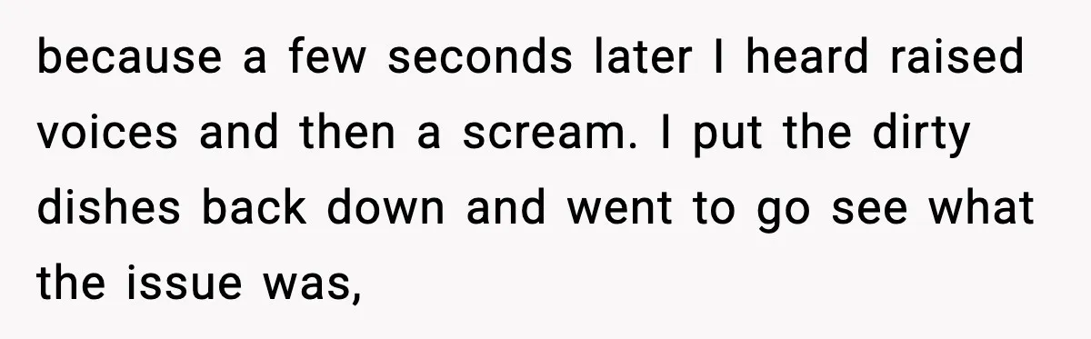 because a few seconds later I heard raised voices and then a scream. I put the dirty dishes back down and went to go see what the issue was,