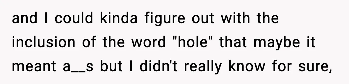 and I could kinda figure out with the inclusion of the word "hole" that maybe it meant a__s but I didn't really know for sure,