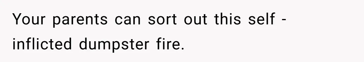 Your parents can sort out this self - inflicted dumpster fire.