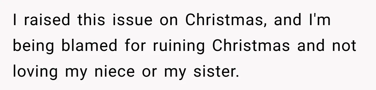 I raised this issue on Christmas, and I'm being blamed for ruining Christmas and not loving my niece or my sister.