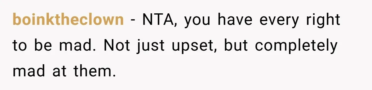 boinktheclown − NTA, you have every right to be mad. Not just upset, but completely mad at them.