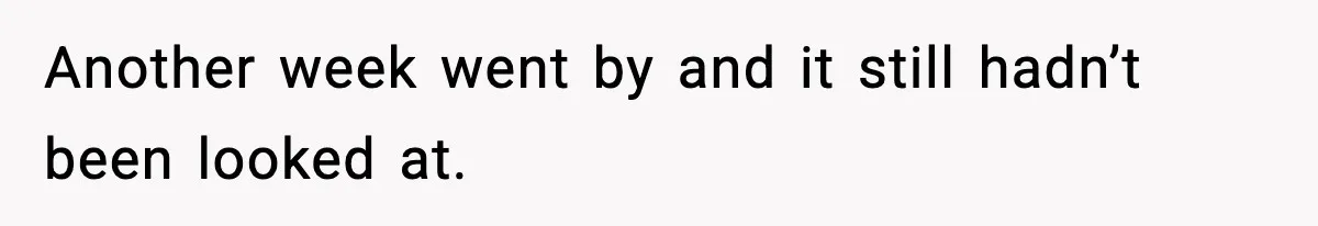 Another week went by and it still hadn’t been looked at.