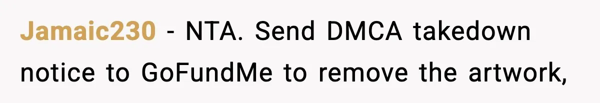 Jamaic230 − NTA. Send DMCA takedown notice to GoFundMe to remove the artwork,