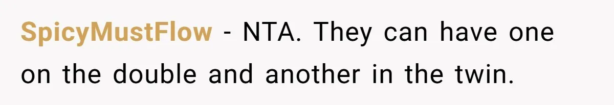 SpicyMustFlow − NTA. They can have one on the double and another in the twin.