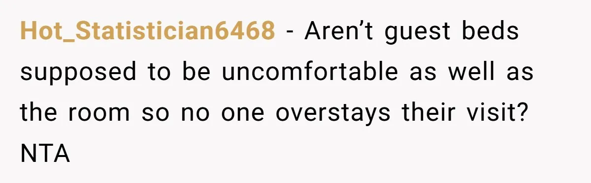 Hot_Statistician6468 − Aren’t guest beds supposed to be uncomfortable as well as the room so no one overstays their visit? NTA