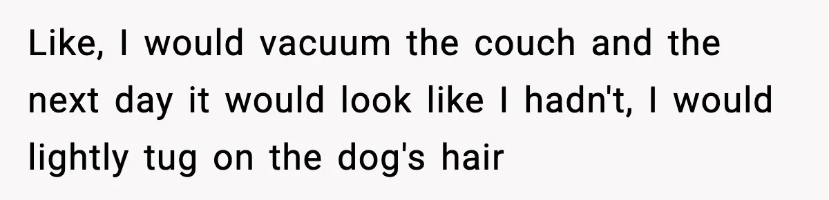 Babysitter Refuses To Return After Mom Fires Him For Brushing Dog, Then Begs Him To Come Back Like, I would vacuum the couch and the next day it would look like I hadn't, I would lightly tug on the dog's hair