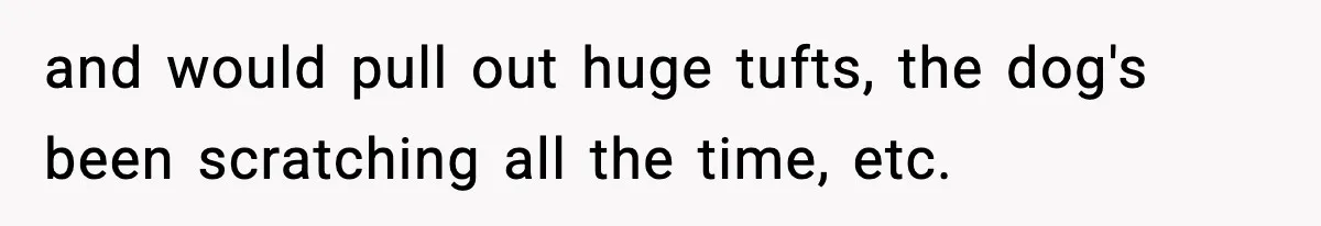 Babysitter Refuses To Return After Mom Fires Him For Brushing Dog, Then Begs Him To Come Back and would pull out huge tufts, the dog's been scratching all the time, etc.