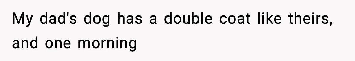 Babysitter Refuses To Return After Mom Fires Him For Brushing Dog, Then Begs Him To Come Back My dad's dog has a double coat like theirs, and one morning