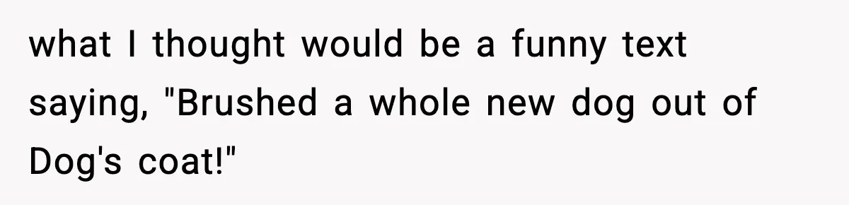 Babysitter Refuses To Return After Mom Fires Him For Brushing Dog, Then Begs Him To Come Back what I thought would be a funny text saying, "Brushed a whole new dog out of Dog's coat!"