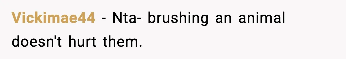 Babysitter Refuses To Return After Mom Fires Him For Brushing Dog, Then Begs Him To Come Back Vickimae44 − Nta- brushing an animal doesn't hurt them.