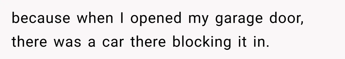 because when I opened my garage door, there was a car there blocking it in.