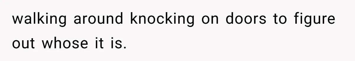 walking around knocking on doors to figure out whose it is.