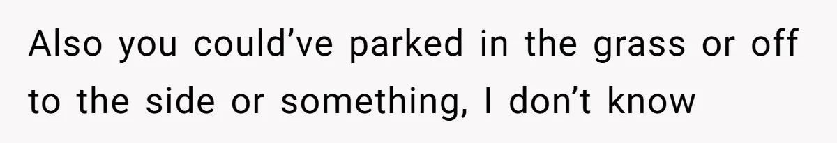 Also you could’ve parked in the grass or off to the side or something, I don’t know