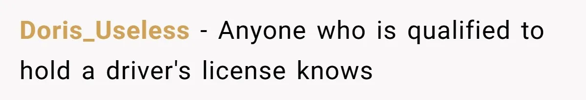 Doris_Useless − Anyone who is qualified to hold a driver's license knows