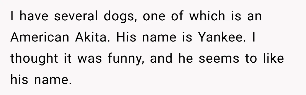 I have several dogs, one of which is an American Akita. His name is Yankee. I thought it was funny, and he seems to like his name.