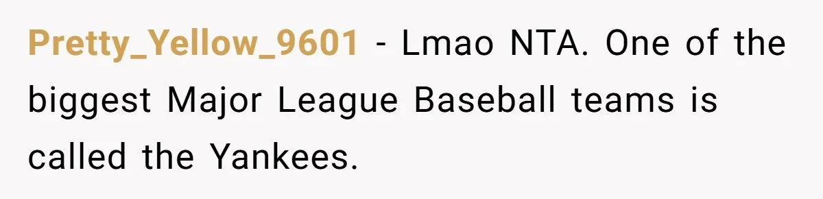 Pretty_Yellow_9601 − Lmao NTA. One of the biggest Major League Baseball teams is called the Yankees.