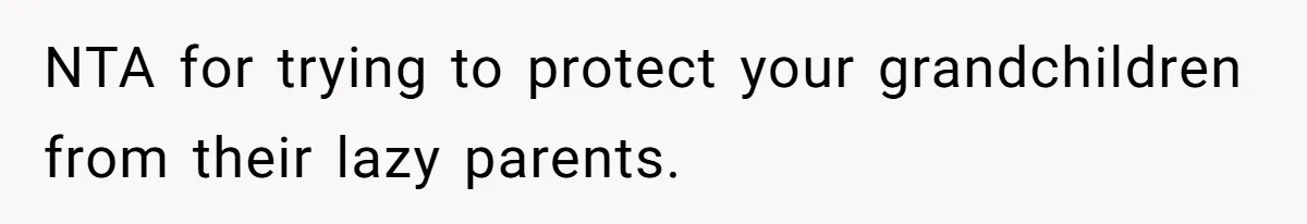 NTA for trying to protect your grandchildren from their lazy parents.