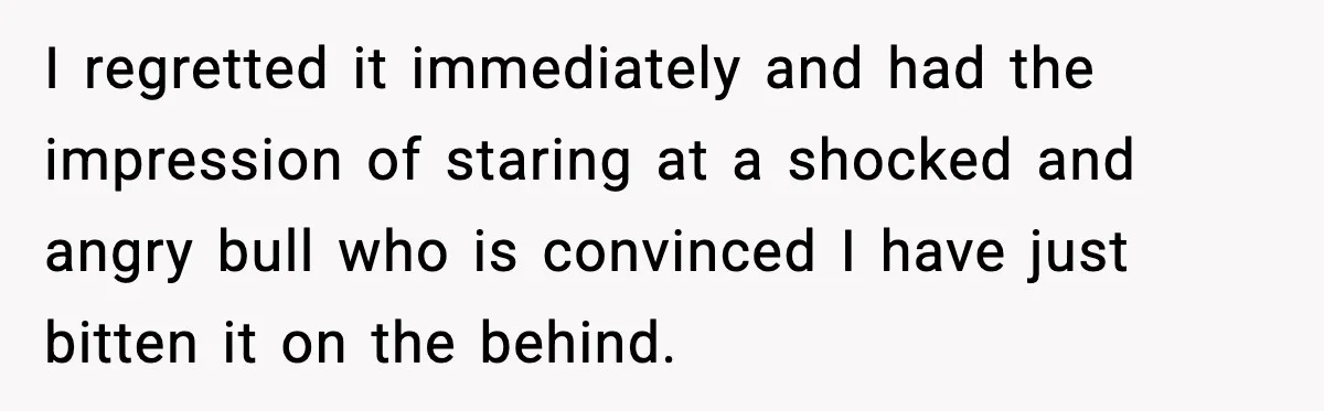 I regretted it immediately and had the impression of staring at a shocked and angry bull who is convinced I have just bitten it on the behind.