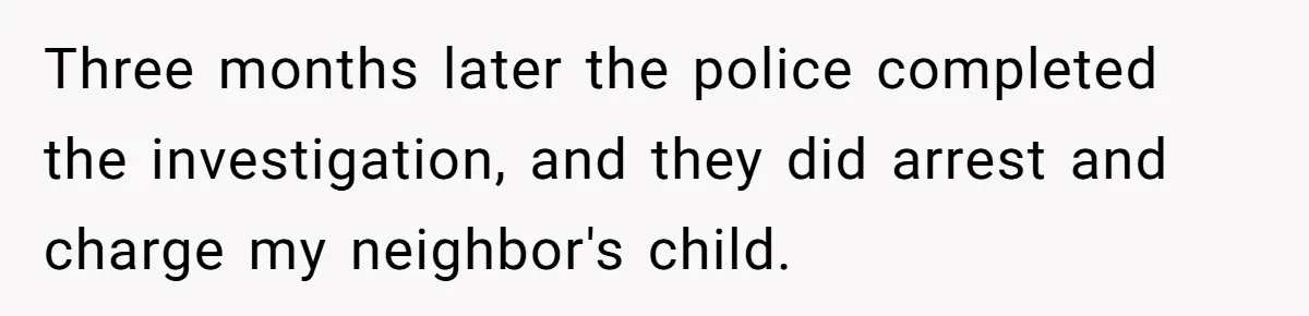 Three months later the police completed the investigation, and they did arrest and charge my neighbor's child.