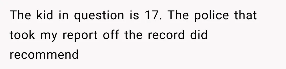 The kid in question is 17. The police that took my report off the record did recommend
