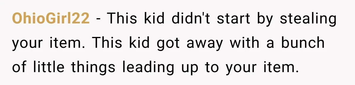 OhioGirl22 − This kid didn't start by stealing your item. This kid got away with a bunch of little things leading up to your item.