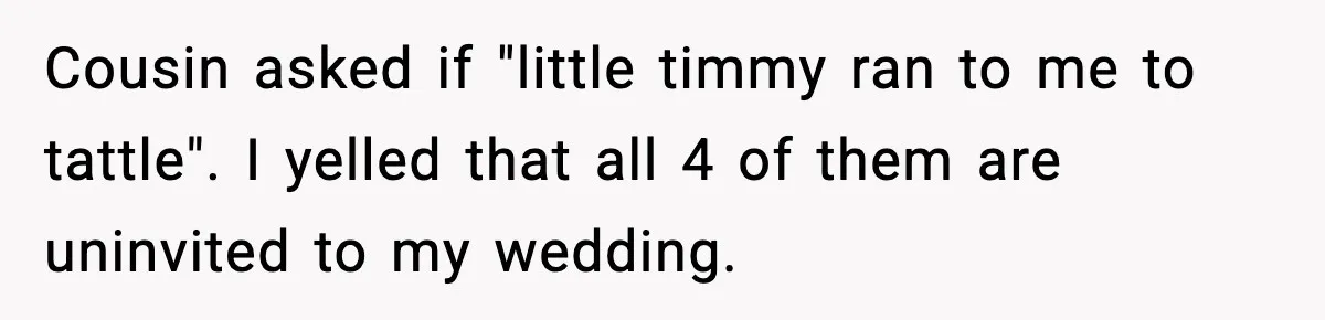 Cousin asked if "little timmy ran to me to tattle". I yelled that all 4 of them are uninvited to my wedding.