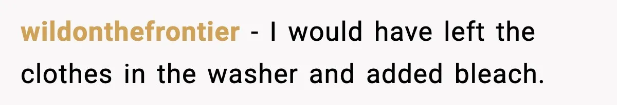 wildonthefrontier - I would have left the clothes in the washer and added bleach.