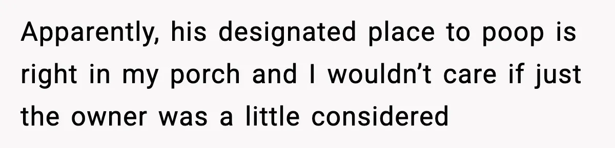 Apparently, his designated place to poop is right in my porch and I wouldn’t care if just the owner was a little considered