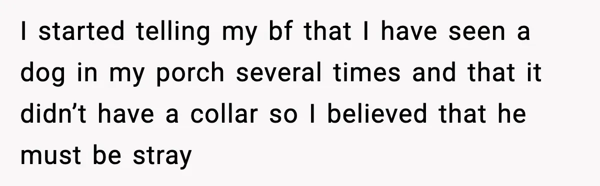 I started telling my bf that I have seen a dog in my porch several times and that it didn’t have a collar so I believed that he must be...