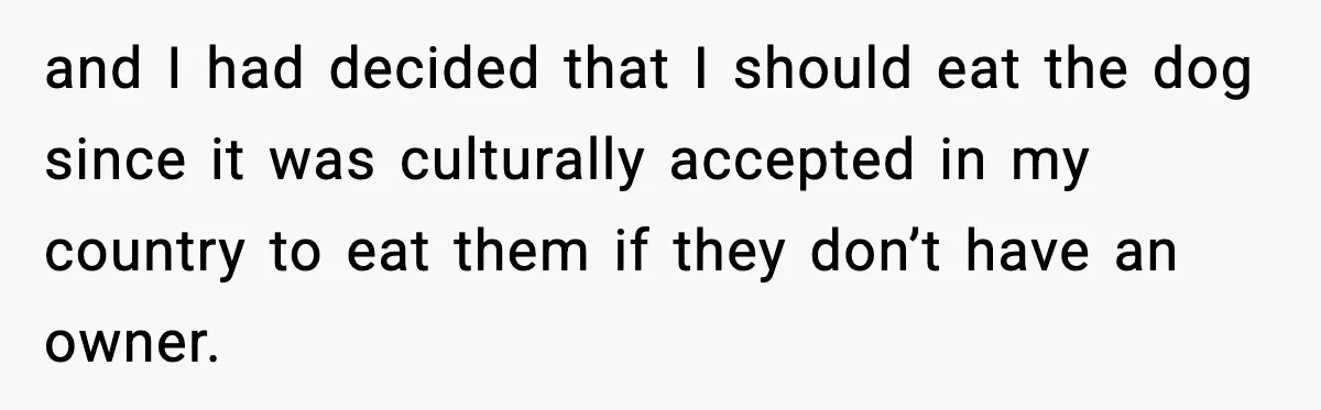 and I had decided that I should eat the dog since it was culturally accepted in my country to eat them if they don’t have an owner.