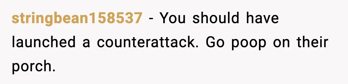 stringbean158537 - You should have launched a counterattack. Go poop on their porch.