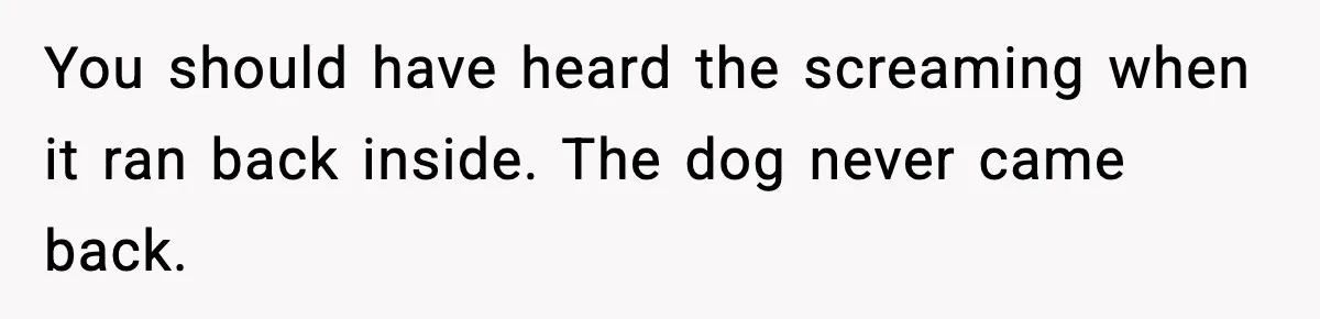 You should have heard the screaming when it ran back inside. The dog never came back.