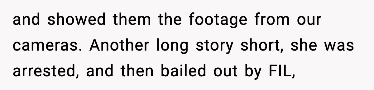 Security Cameras Catch Mother-In-Law Breaking In, Couple Decides To Leave and showed them the footage from our cameras. Another long story short, she was arrested, and then bailed out by FIL,