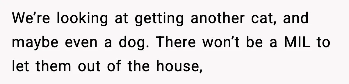 Security Cameras Catch Mother-In-Law Breaking In, Couple Decides To Leave We’re looking at getting another cat, and maybe even a dog. There won’t be a MIL to let them out of the house,