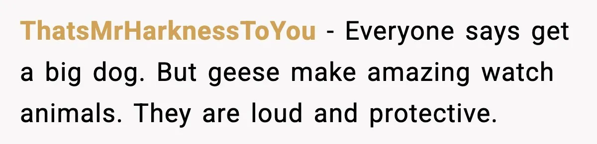 Security Cameras Catch Mother-In-Law Breaking In, Couple Decides To Leave ThatsMrHarknessToYou - Everyone says get a big dog. But geese make amazing watch animals. They are loud and protective.