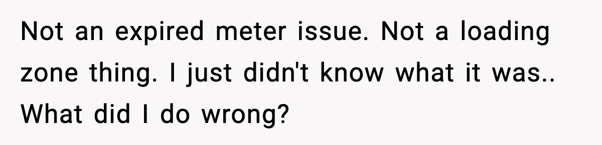 Not an expired meter issue. Not a loading zone thing. I just didn't know what it was.. What did I do wrong?