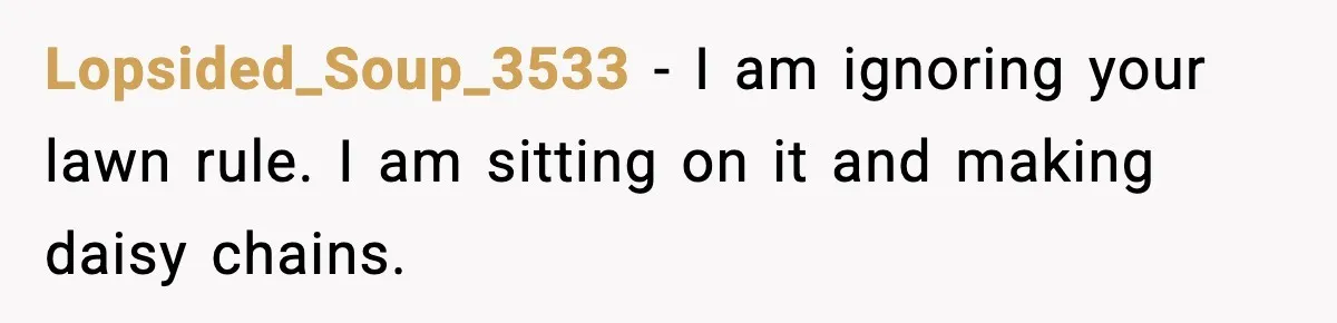 Lopsided_Soup_3533 - I am ignoring your lawn rule. I am sitting on it and making daisy chains.