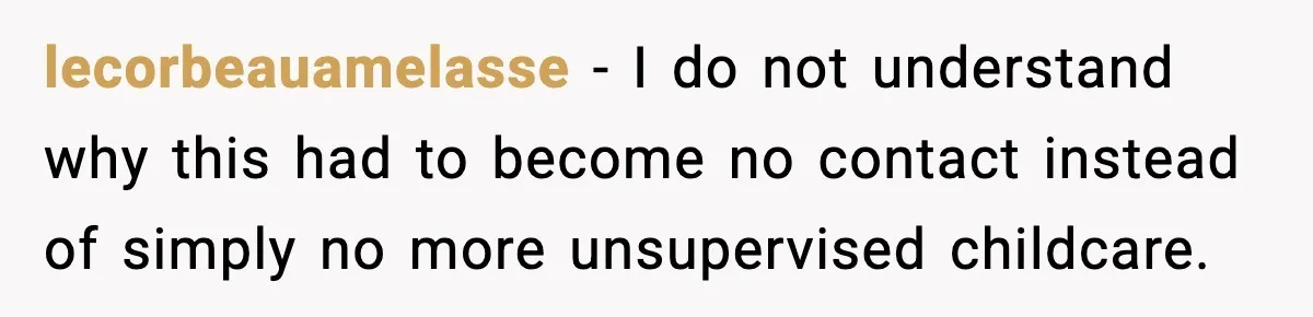 lecorbeauamelasse - I do not understand why this had to become no contact instead of simply no more unsupervised childcare.