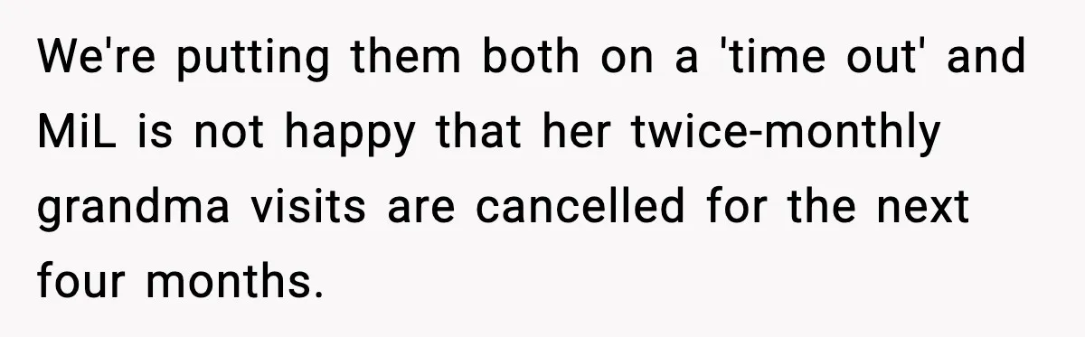 We're putting them both on a 'time out' and MiL is not happy that her twice-monthly grandma visits are cancelled for the next four months.