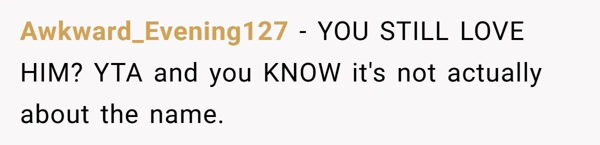 Awkward_Evening127 − YOU STILL LOVE HIM? YTA and you KNOW it's not actually about the name.